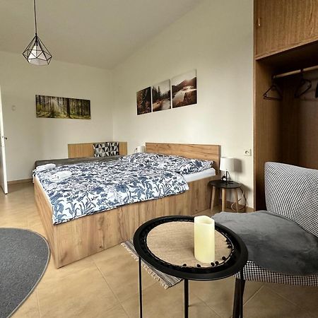 Apartman Aneta Nove Mesto Na Morave Luaran gambar